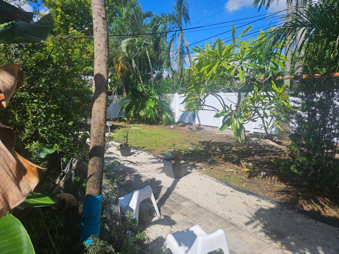 Backyard with layout string line before fence installation